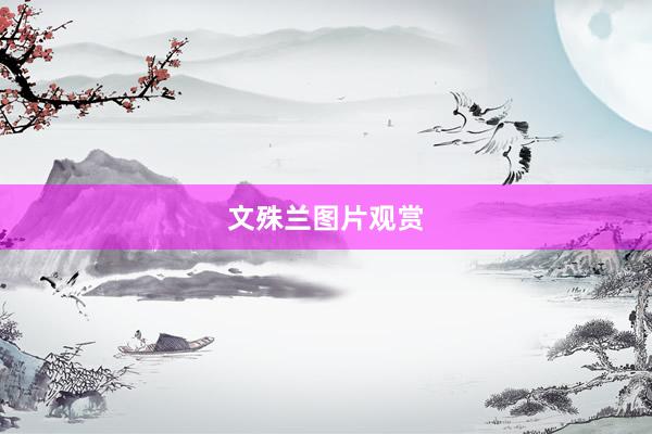 文殊兰图片观赏