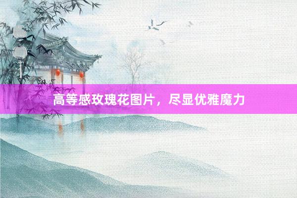 高等感玫瑰花图片，尽显优雅魔力